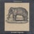 Pachyderm - Vinyle