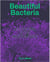 Beautiful bacteria : Encounters in the microuniverse