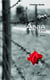 Ania, une enfance brisée