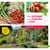 Mon potager mes mômes et moi - s'organiser, s'amuser... et récolter toute l'année !