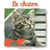 Le chaton