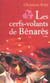 Les cerfs-volants de benares