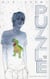 Puzzle Tome 12