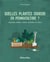 Quelles plantes choisir en permaculture ? légumes, plantes vivaces, arbustes ou arbres