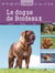Le dogue de bordeaux
