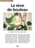 La sève de bouleau