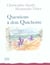 Questions a don quichotte