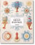 L'art et la science d'Ernst Haeckel