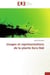 Usages et representations de la plante ka'a hee