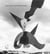 Ugo mulas - alexander calder