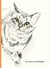 The book of cat poems