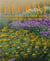 BLOOM (ANGLAIS)
