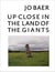 Jo baer: up close in the land of the giants
