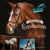 Au Galop - Passion équitation