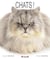 Chats
