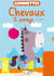 GOMMETTES CHEVAUX ET PONEYS