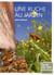 Une ruche au jardin
