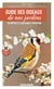 Guide des oiseaux de nos jardins