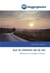 Sur le chemin de la vie