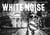 Mark Peterson : white noise