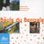 Bauls Du Bengale
