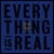 Greatest Hits - Everything Is Real