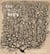 The beautiful brain