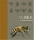 The bee a natural history