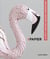 Papier - le petit livre des grandes inspirations