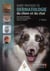 Guide pratique de dermatologie du chien et duchat 2 ed+dvd