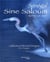 Sénégal, sine saloum : terre et mer