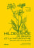 Hildegarde de Bingen et la naturopathie