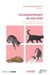 Le comportement de mon chat