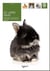 Le Lapin Nain
