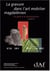 La Gravure dans l'art mobilier magdalénien, du geste à la présentation : contribution à l'analyse microscopique.