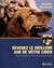 Devenez le meilleur ami de votre chien - tout connaitre sur le comportement canin