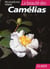 Beaute des camelias (la)