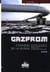 Gazprom - stratégie de la russie