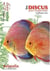 Les discus - genre symphysodon