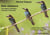 Des oiseaux - camargue, garrigue, causses, cévennes