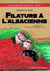 Les enquêtes de Léna & Co Tome 7 : filature à l'alsacienne