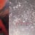 Tiny dynamine / echoes in a shallow bay