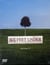 Six Feet Under - Saison 2