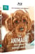Nos animaux : Doux dehors, sauvages dedans