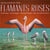 Flamants Roses