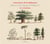 Music in the Spain of Philip IV