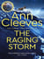 The raging storm