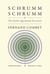 Fernand Combet : Schrummschrumm, or the sunday quicksands excursion