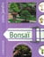 Bonsaï
