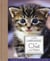 Petit larousse du chat et du chaton